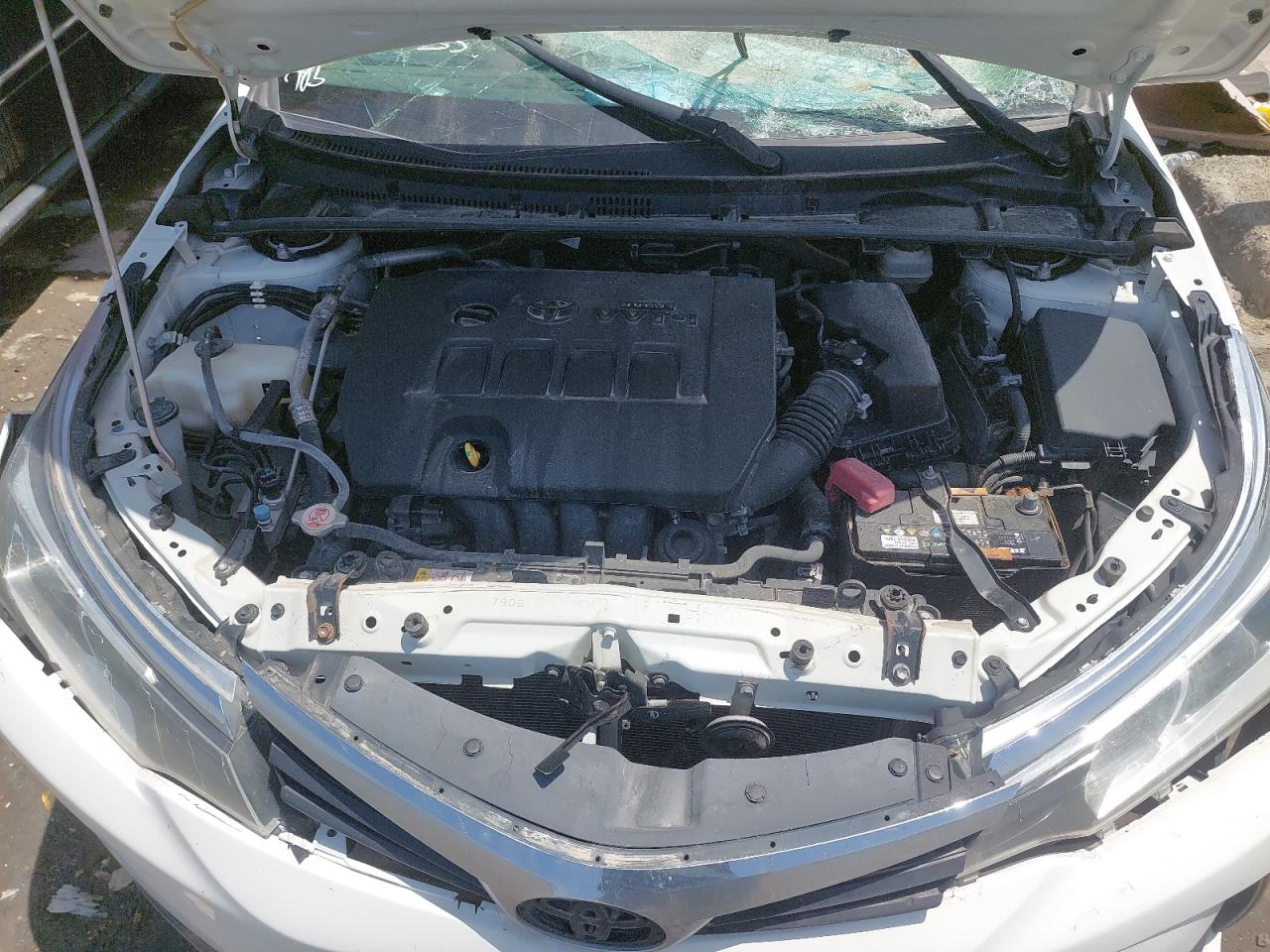 RKLBL9HE6K5267821 - 2019 Toyota COROLLA - #undefined
