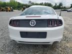 2014 Ford Mustang    for Sale in Tifton, GA - All Over
