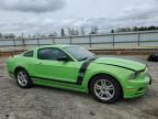 2013 Ford Mustang  for Sale in Chatham, VA - Front End