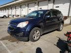 2015 Chevrolet Equinox Lt   for Sale in Louisville, KY - Hail