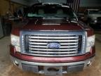 2010 Ford F150 Supercrew for Sale in Kincheloe, MI - Rear End