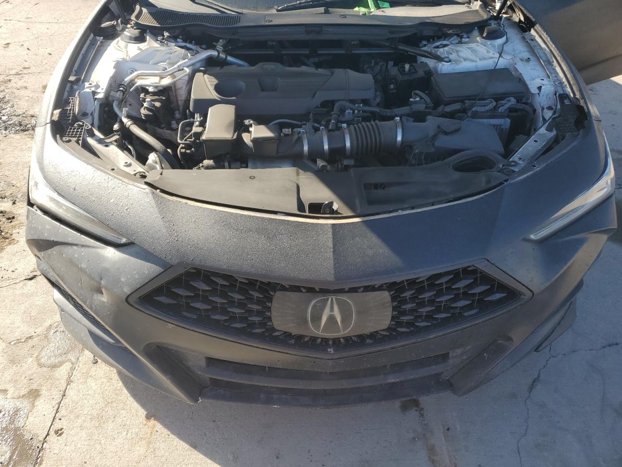 2021 Acura Tlx Technology VIN: 19UUB6F41MA003158 Lot: 54010185