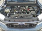 2024 Ford Maverick Xlt იყიდება Memphis-ში, TN - Rear End