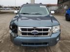 2012 Ford Escape Xlt zu verkaufen in Fort Wayne, IN - Front End