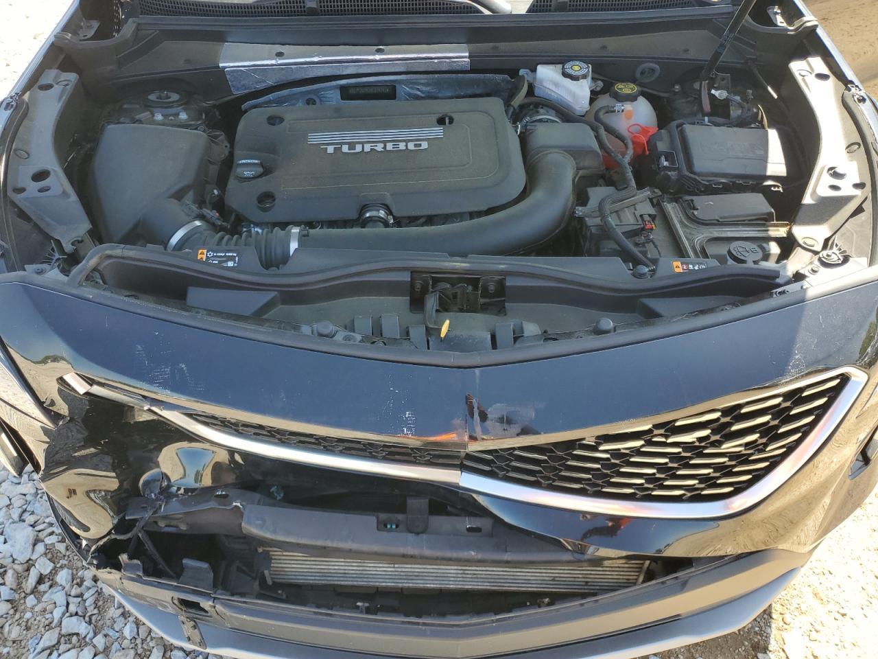 2019 Cadillac Xt4 Premium Luxury VIN: 1GYFZCR42KF214747 Lot: 52412105