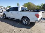 Madisonville, TN에서 판매 중인 2013 Ford F150 Supercrew - Front End