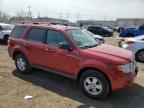 2010 Ford Escape Xlt   للبيع في Chicago Heights، IL - Rear End