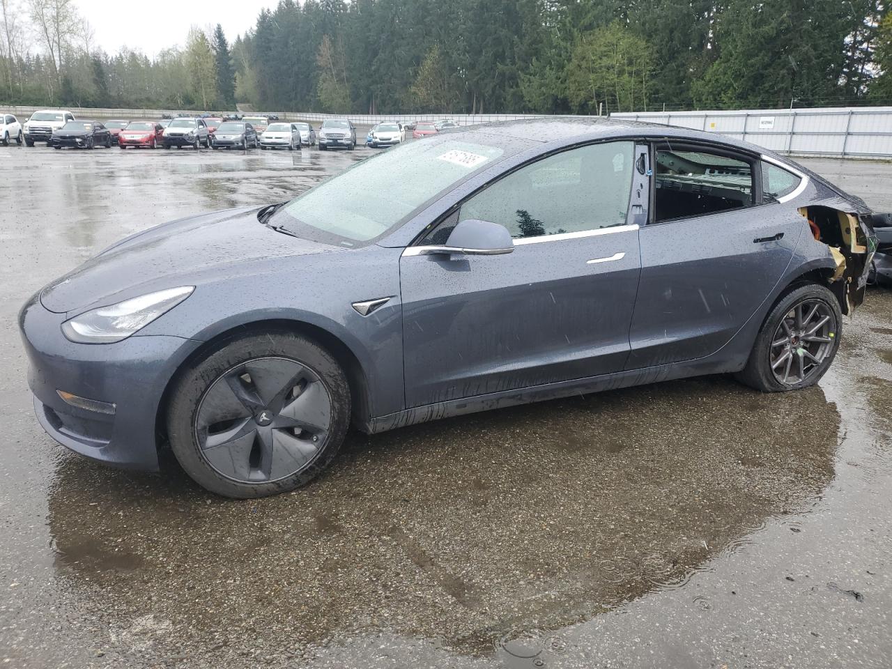 2020 Tesla Model 3  for Sale in Arlington, WA - Rear End