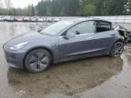 2020 Tesla Model 3  for Sale in Arlington, WA - Rear End