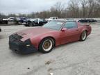 1989 Pontiac Firebird Trans Am for Sale in Ellwood City, PA - Minor Dent/Scratches
