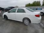 Arlington, WA에서 판매 중인 2010 Toyota Corolla Base - Front End