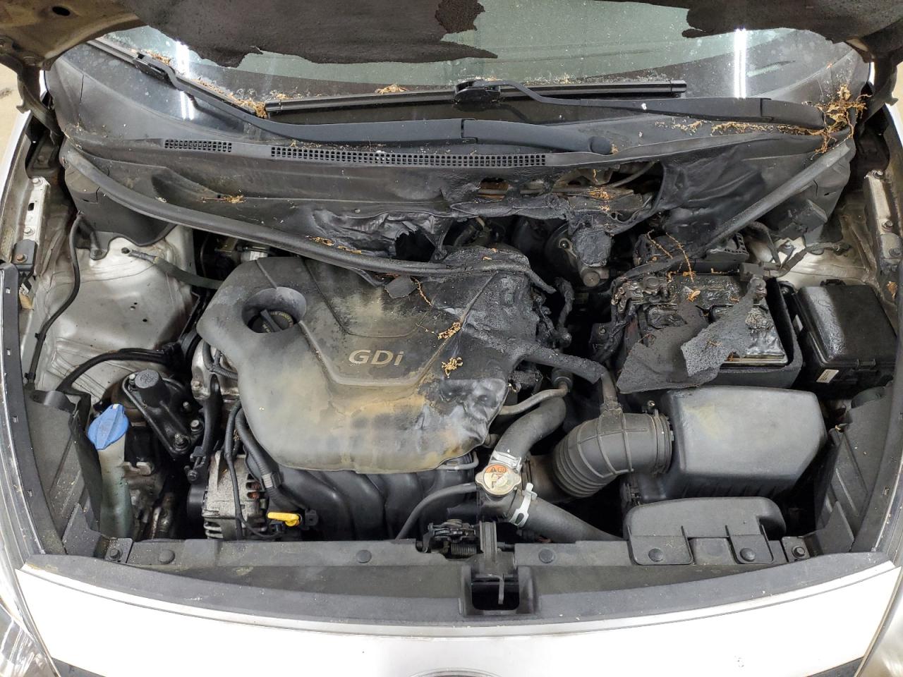 2015 Kia Rio Lx VIN: KNADM4A35F6528691 Lot: 54936425