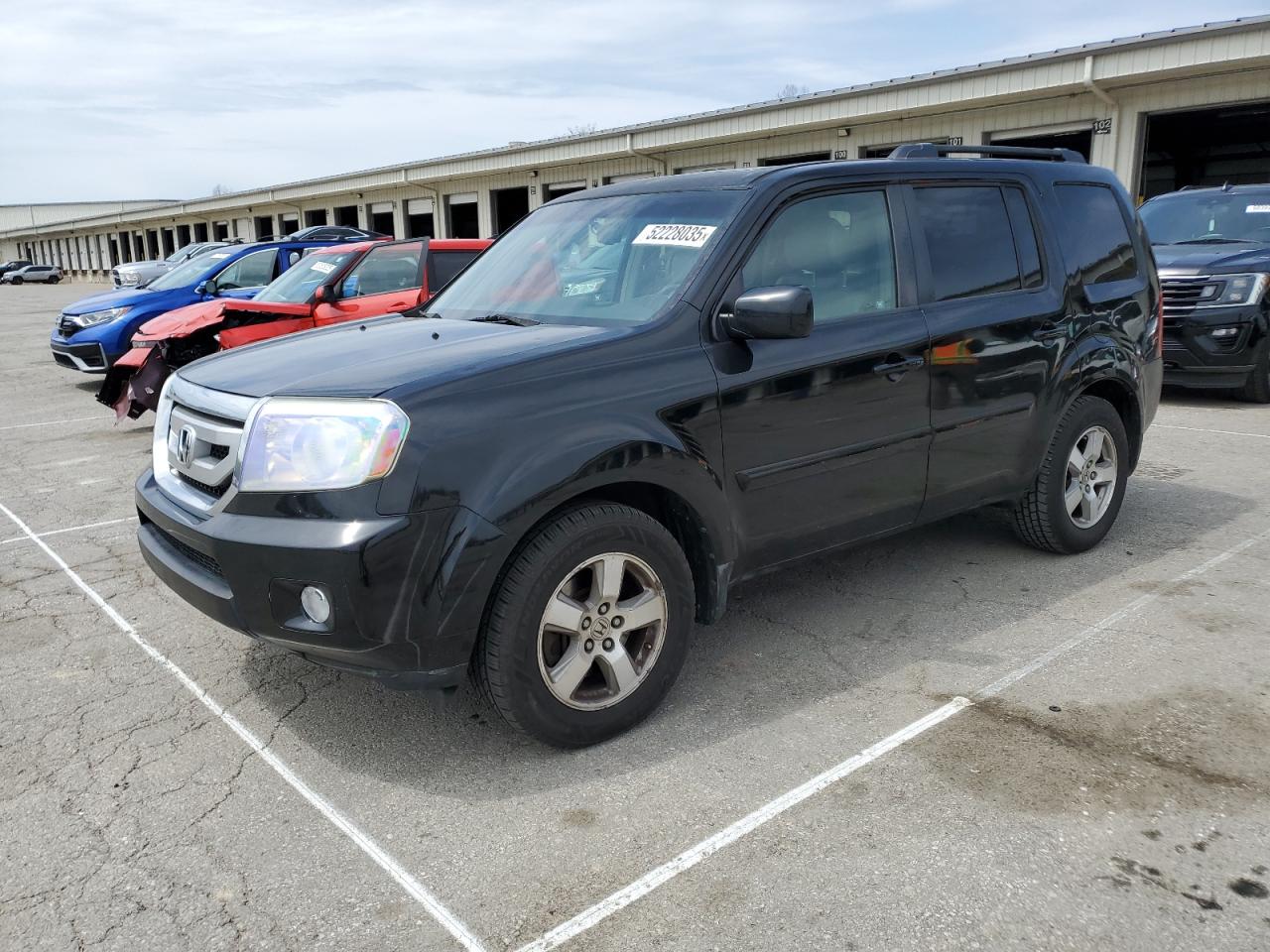 2009 Honda Pilot Exl zu verkaufen in Louisville, KY - Hail