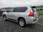2010 Lexus Gx 460 en Venta en Hillsborough, NJ - Rear End