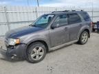 2011 FORD ESCAPE LIMITED for sale at Copart AB - EDMONTON