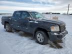2008 Dodge Dakota Sxt for Sale in Rocky View County, AB - Front End
