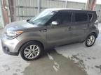 2017 Kia Soul + на продаже в Homestead, FL - Minor Dent/Scratches