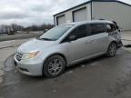 Duryea, PA에서 판매 중인 2011 Honda Odyssey Exl - Rear End