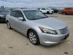 2008 Honda Accord Exl en Venta en Mcfarland, WI - Minor Dent/Scratches