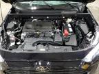 2025 Toyota Rav4 Xle للبيع في Ham Lake، MN - Rollover