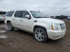 2011 Cadillac Escalade Esv Premium for Sale in Brighton, CO - Mechanical