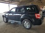 Phoenix, AZ에서 판매 중인 2010 Ford Escape Limited - Front End