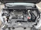 2024 Toyota Rav4 Xle for Sale in Marlboro, NY - Front End