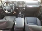 2019 Toyota 4Runner Sr5/Sr5 Premium იყიდება San Antonio-ში, TX - Hail