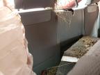 2012 Toyota Tacoma  zu verkaufen in Baltimore, MD - All Over