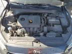 Riverview, FL에서 판매 중인 2019 Kia Forte Fe - Front End