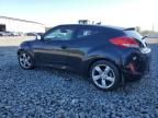 2013 Hyundai Veloster  for Sale in Windsor, NJ - Front End