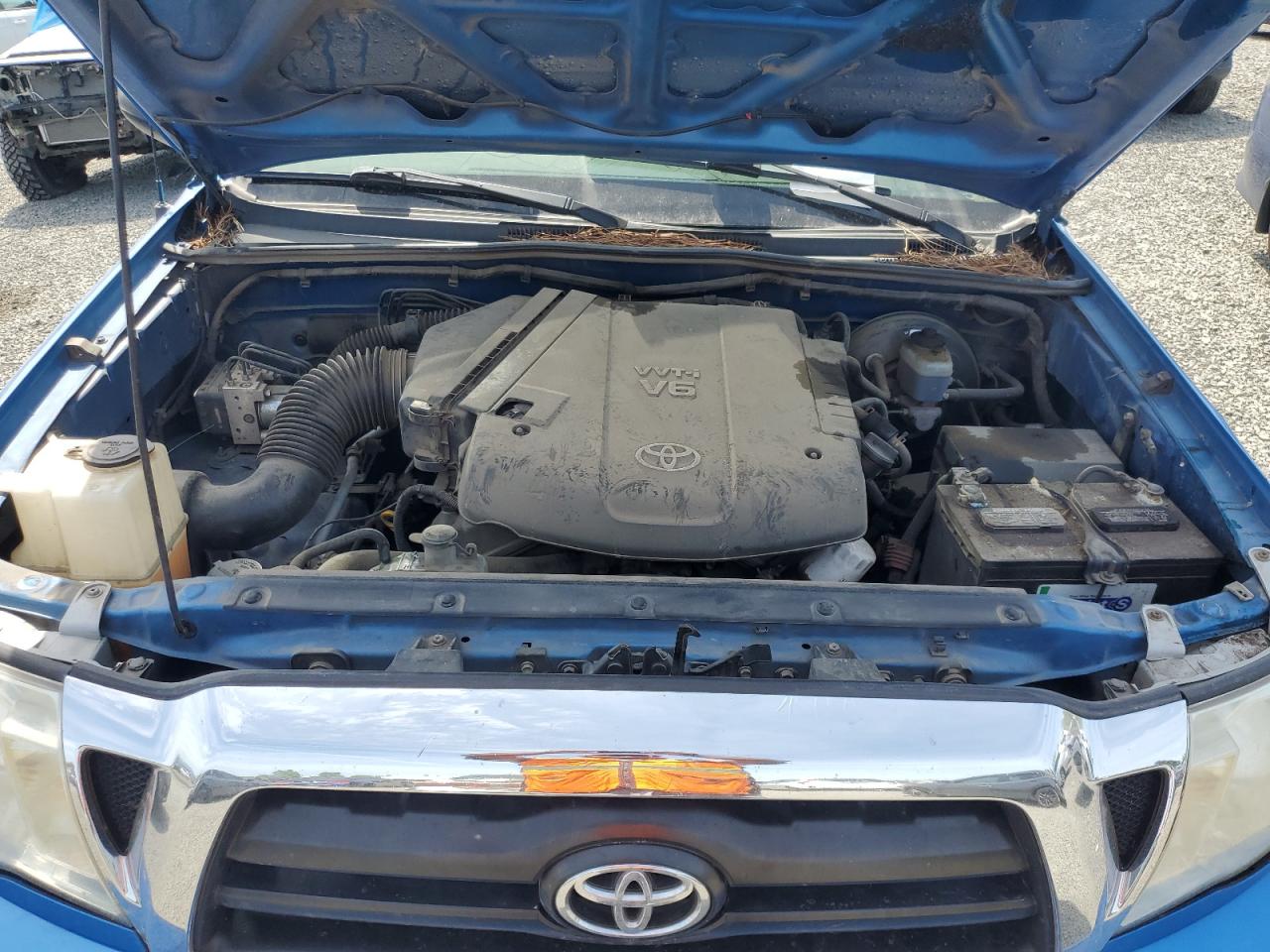 2005 Toyota Tacoma Access Cab VIN: 5TEUU42N25Z043073 Lot: 54046105