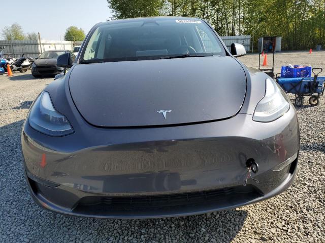  TESLA MODEL Y 2023 Gray