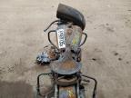 1981 HARLEY DAVIDSON FLT for sale at Copart ON - LONDON