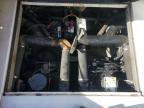 2000 Sea Sea Ray for Sale in Opa Locka, FL - All Over