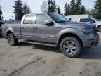 2014 Ford F150 Supercrew for Sale in Arlington, WA - Front End
