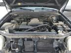 2004 Toyota Tundra Access Cab Limited იყიდება Loganville-ში, GA - Minor Dent/Scratches