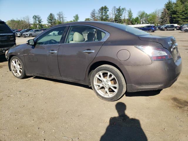  NISSAN MAXIMA 2012 tan