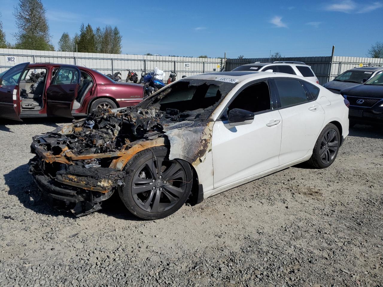 2022 Acura Tlx Tech A للبيع في Arlington، WA - Burn
