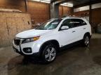 2013 Kia Sorento Ex zu verkaufen in Ebensburg, PA - Front End