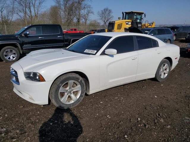  DODGE CHARGER 2014 Белый