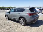 2023 Hyundai Santa Fe Sel na sprzedaż w Memphis, TN - Front End