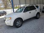 2011 Ford Escape Xlt zu verkaufen in Rogersville, MO - Rear End
