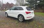 2010 Audi Q5 Premium Plus for Sale in Chalfont, PA - Front End