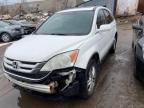 2011 HONDA CR-V EXL   à vendre chez Copart CN - CANADIAN AFFILIATES