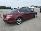 2009 Honda Accord Exl zu verkaufen in Lumberton, NC - Front End