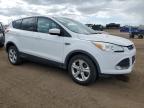 Brighton, CO에서 판매 중인 2013 Ford Escape Se - Rear End