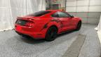 2019 Ford Mustang Gt for Sale in Elgin, IL - Damage History