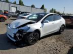 2025 Tesla Model Y  na sprzedaż w Portland, OR - Front End
