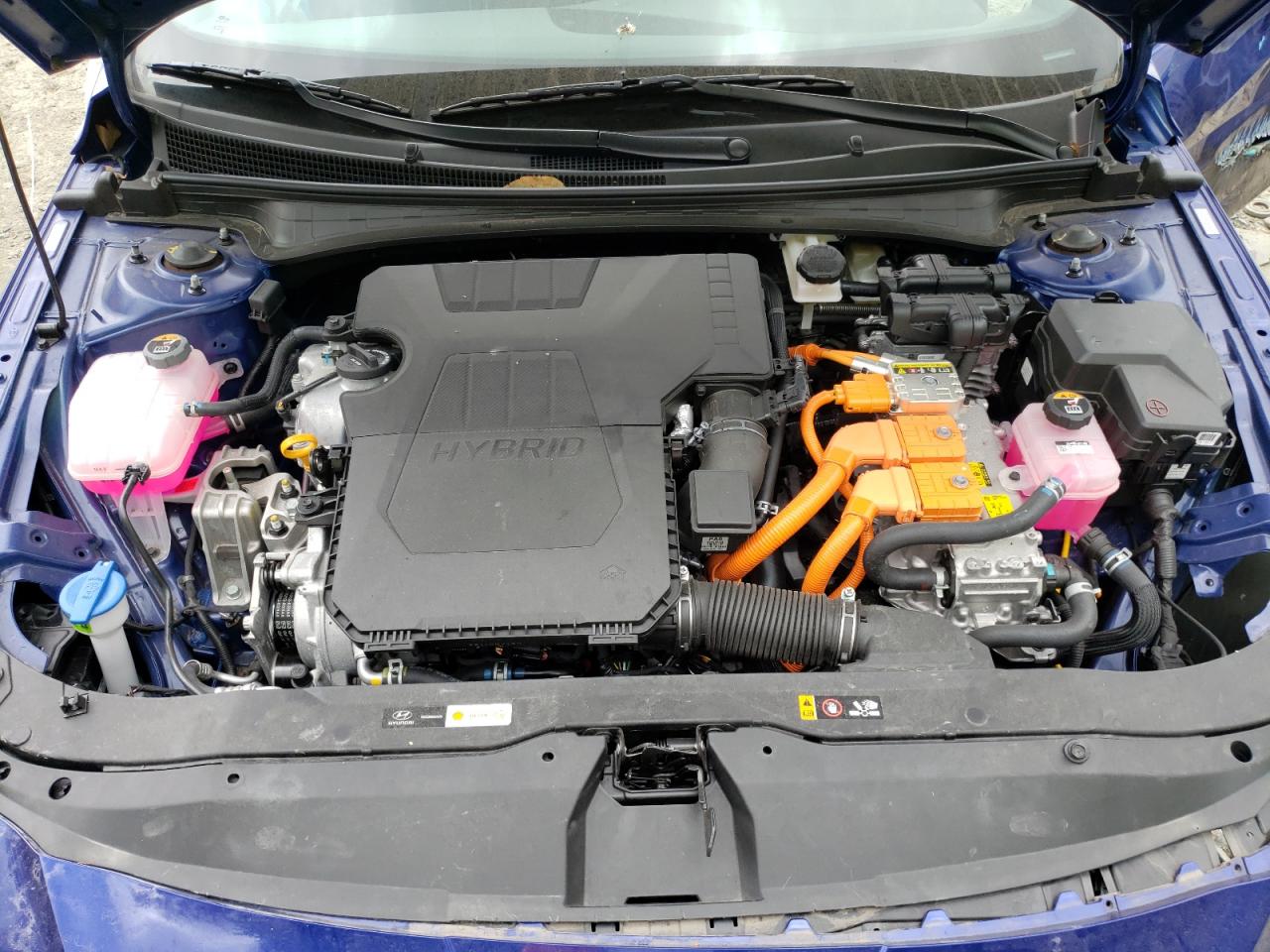 2024 Hyundai Elantra Blue VIN: KMHLM4DJ9RU110235 Lot: 54719575
